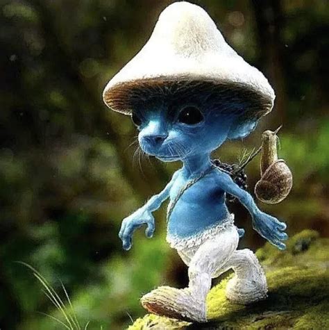 Smurf cat meme - The Russian-language meme called "Smurf Cat," also known as the "Blue Mushroom Cat" and originally named "Шайлушай" or "Shailushai" in English, features a blue, elf-like creature with a mushroom head and a cat's face, resembling a Smurf from the animated series. The meme initially gained popularity on TikTok in mid-2023, often …